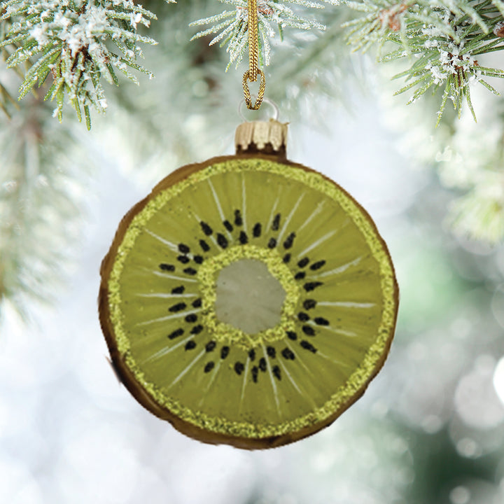 Fruit Disc Kiwi (1)
