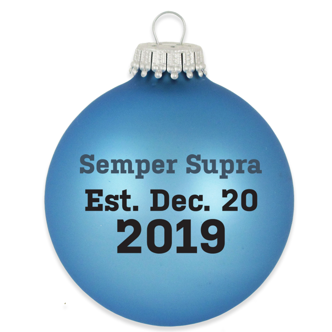 Christmas Tree Ornaments - Military Glass Balls from Christmas by Krebs - Handmade Seamless Hanging Holiday Decorations for Trees (67mm/2.625" Blue and Silver Space Force-USSF Variety Set of 12)