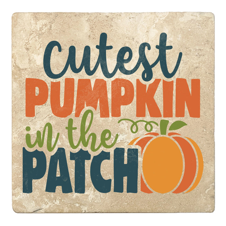 Set of 4 Absorbent Stone 4" Fall Autumn Coasters, Cutest Pumpkin In The Patch