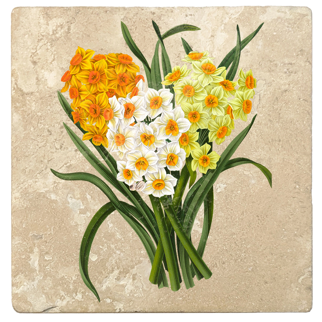 Set of 4 Absorbent Stone 4" Flower Designs Drink Coasters, Daffodil Bunch