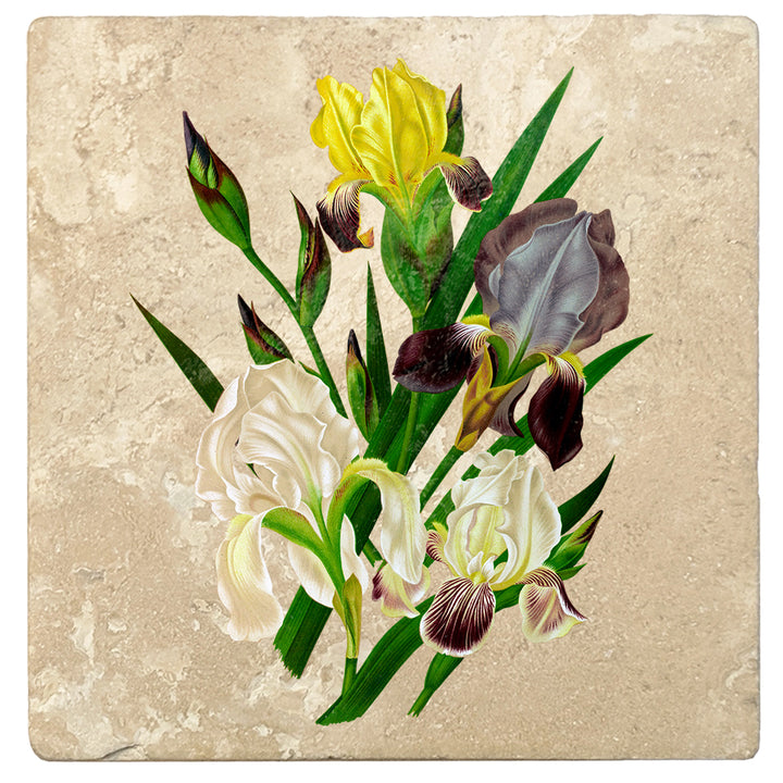 Set of 4 Absorbent Stone 4" Flower Designs Drink Coasters, German Iris