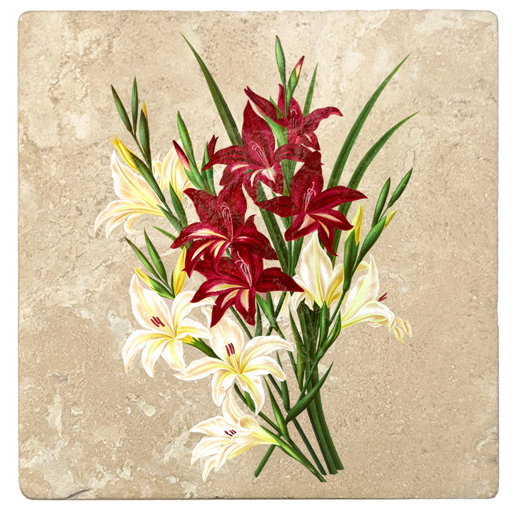 Set of 4 Absorbent Stone 4" Flower Designs Drink Coasters, White And Scarlet Gladiolus