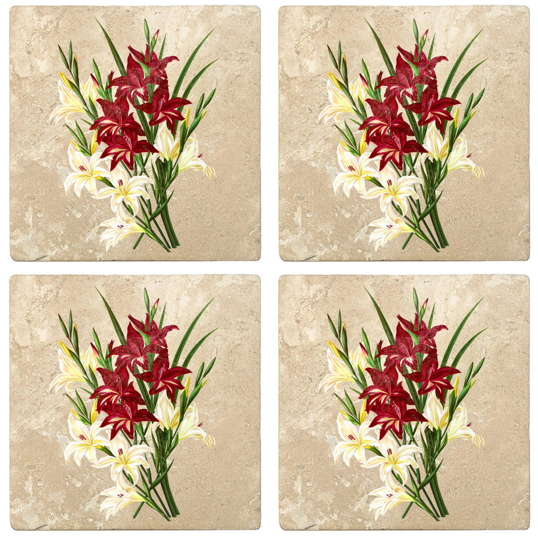 Set of 4 Absorbent Stone 4" Flower Designs Drink Coasters, White And Scarlet Gladiolus