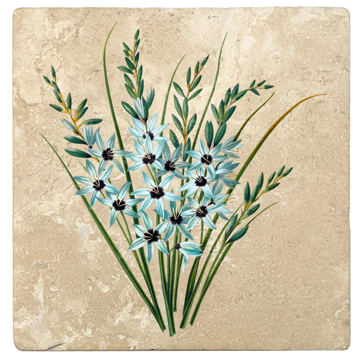 Set of 4 Absorbent Stone 4" Flower Designs Drink Coasters, Turquoise Ixia