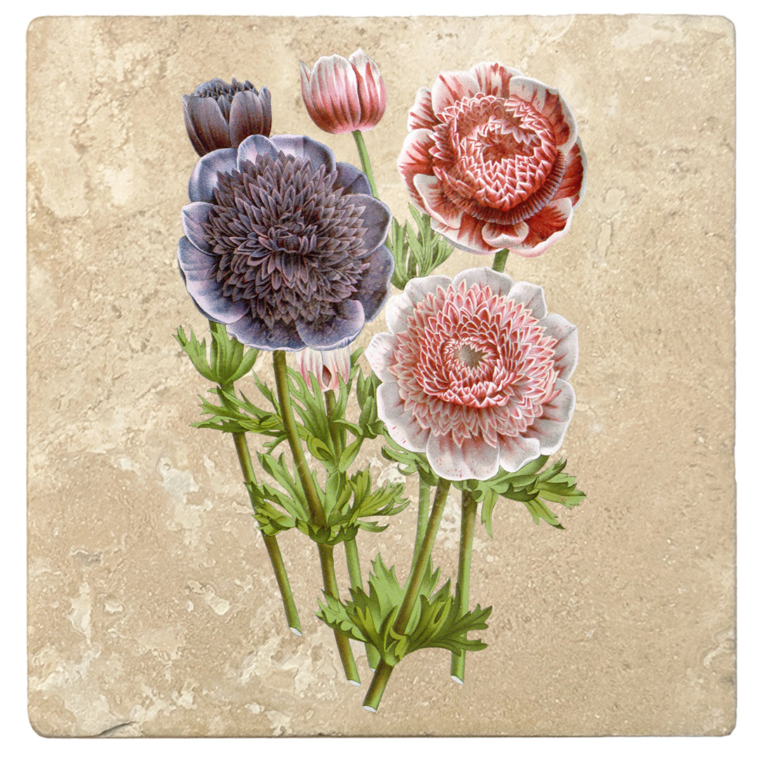 Set of 4 Absorbent Stone 4" Flower Designs Drink Coasters, Anemones Double Flowers