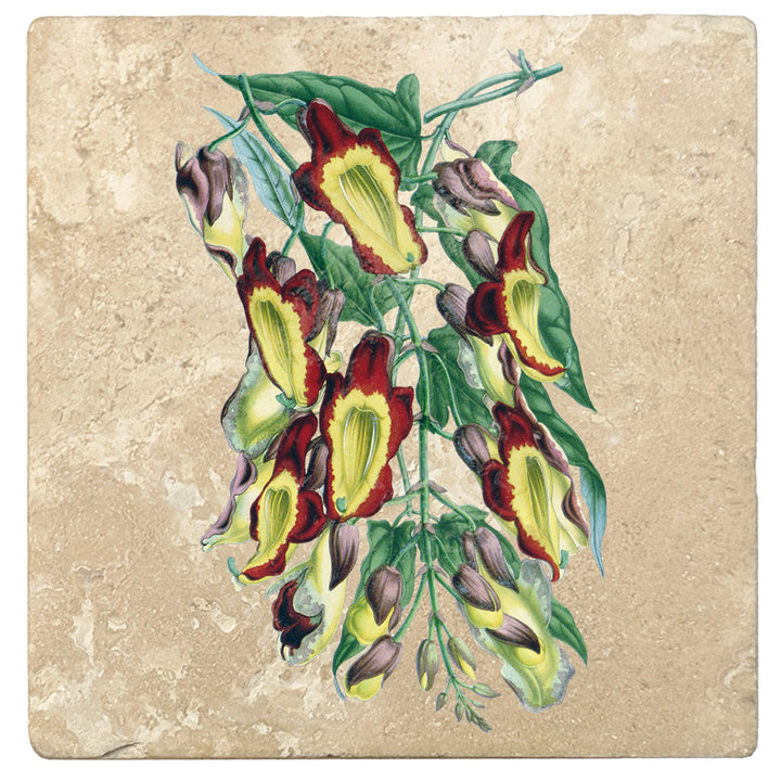 Set of 4 Absorbent Stone 4" Flower Designs Drink Coasters, Indian Clock Vine