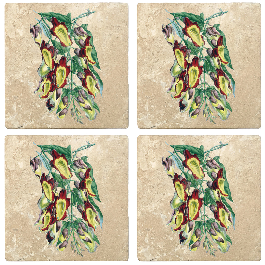 Set of 4 Absorbent Stone 4" Flower Designs Drink Coasters, Indian Clock Vine