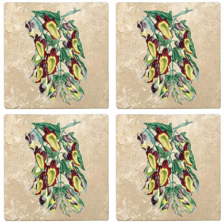 Set of 4 Absorbent Stone 4" Flower Designs Drink Coasters, Indian Clock Vine