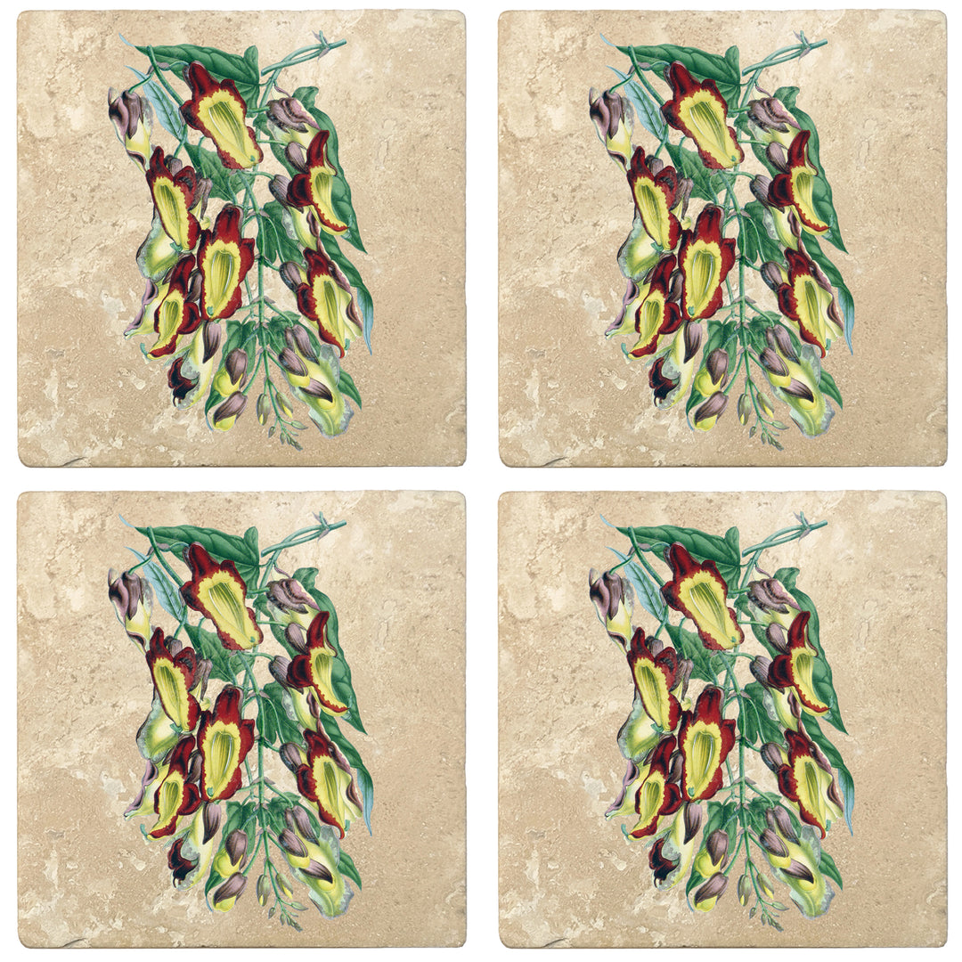 Set of 4 Absorbent Stone 4" Flower Designs Drink Coasters, Indian Clock Vine