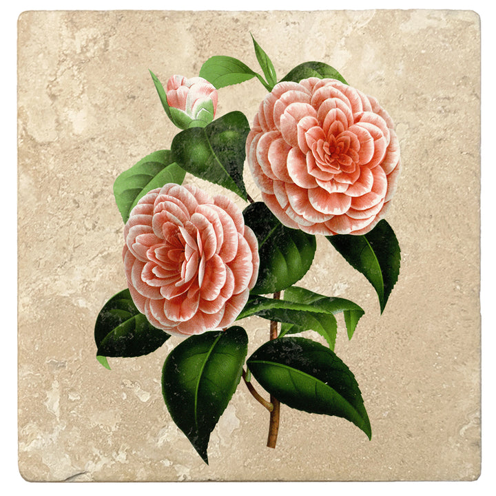 Set of 4 Absorbent Stone 4" Flower Designs Drink Coasters, Albino Botti Camellia
