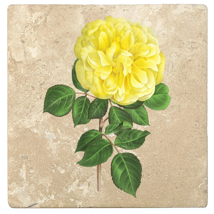 Set of 4 Absorbent Stone 4" Flower Designs Drink Coasters, Yellow Hybrid Rose