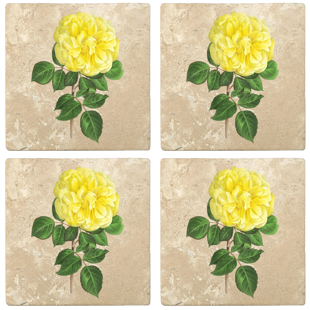 Set of 4 Absorbent Stone 4" Flower Designs Drink Coasters, Yellow Hybrid Rose