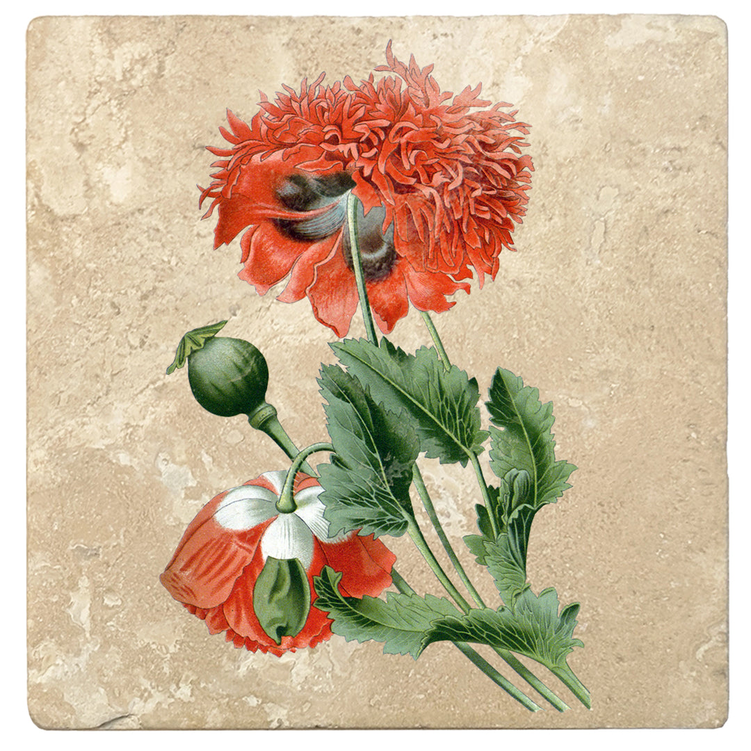 Set of 4 Absorbent Stone 4" Flower Designs Drink Coasters, Opium Poppy