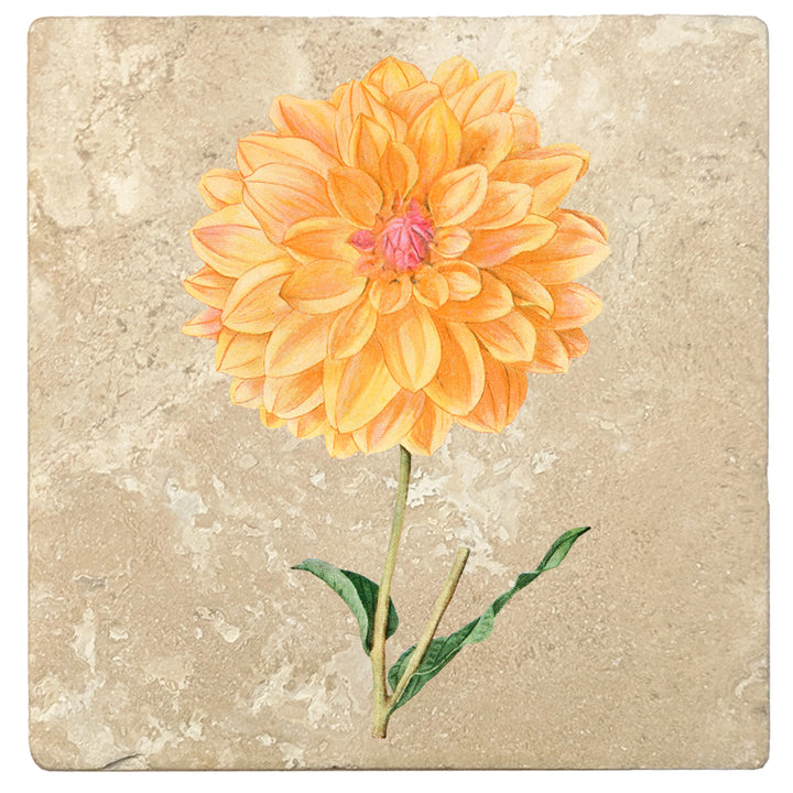 Set of 4 Absorbent Stone 4" Flower Designs Drink Coasters, Dahlia King Of The Autumn