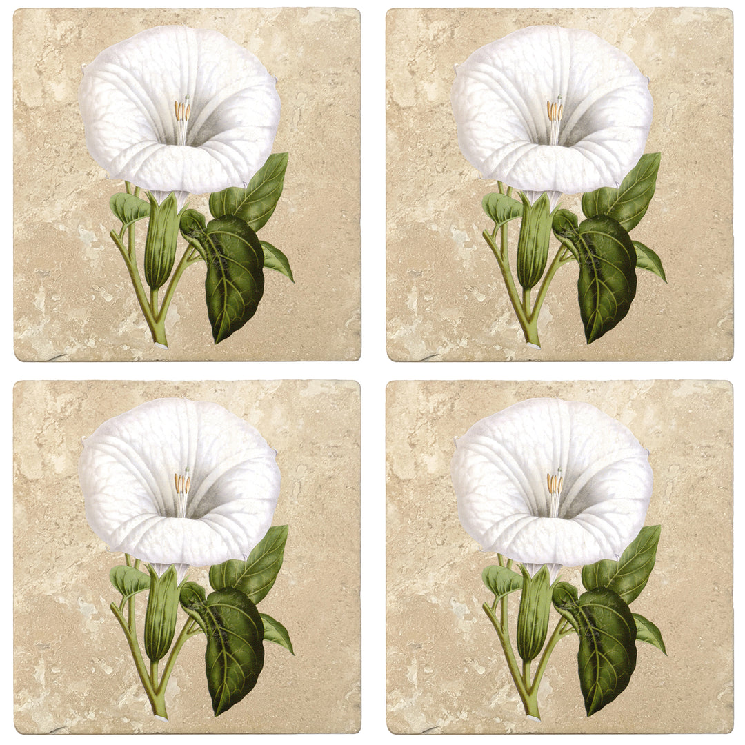 Set of 4 Absorbent Stone 4" Flower Designs Drink Coasters, Datura Metel