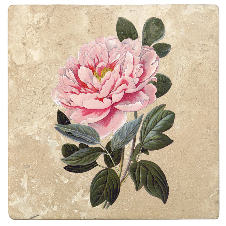 Set of 4 Absorbent Stone 4" Flower Designs Drink Coasters, Tree Peony