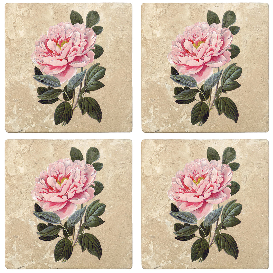 Set of 4 Absorbent Stone 4" Flower Designs Drink Coasters, Tree Peony