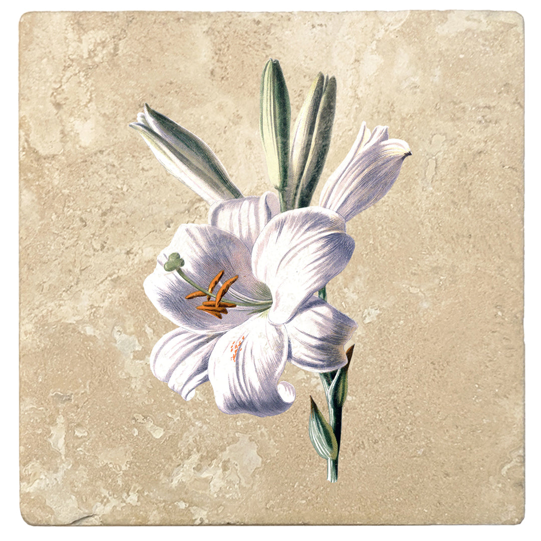 Set of 4 Absorbent Stone 4" Flower Designs Drink Coasters, White Lily