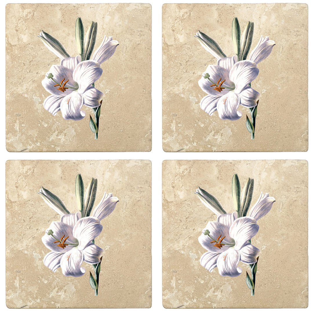 Set of 4 Absorbent Stone 4" Flower Designs Drink Coasters, White Lily