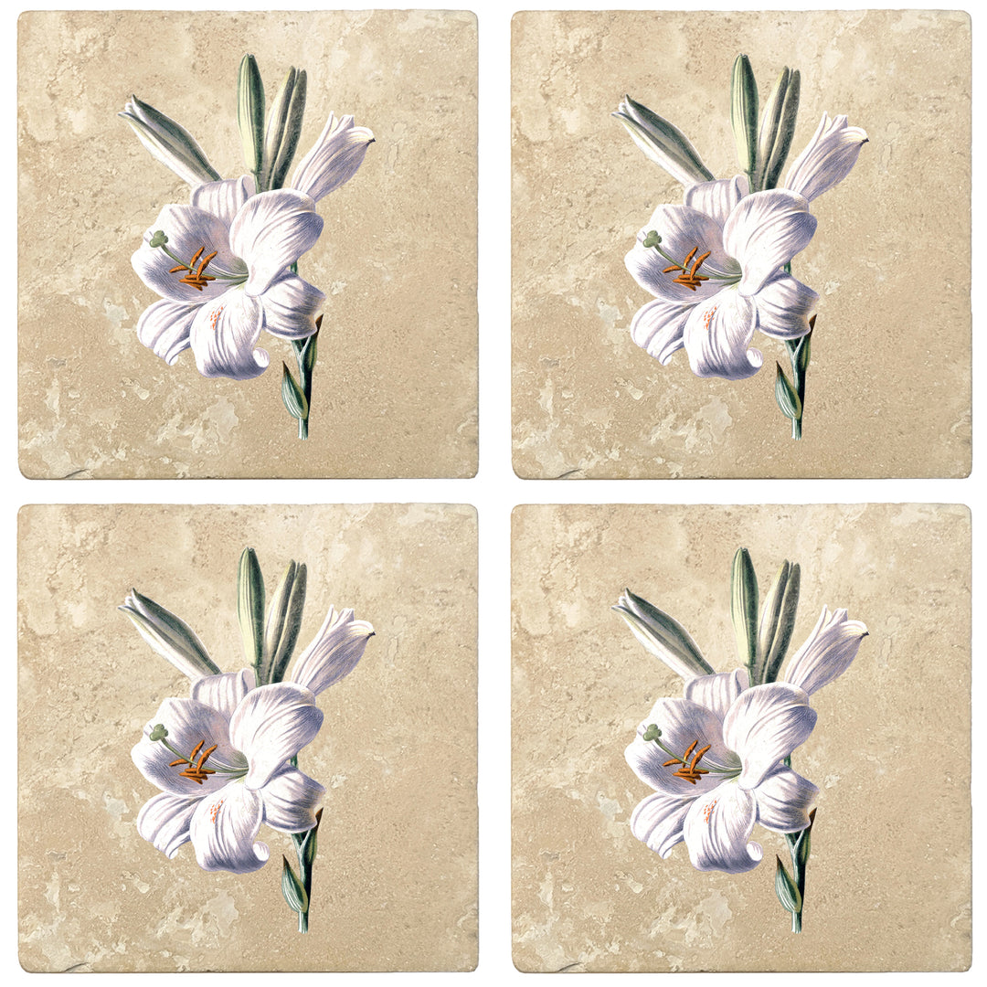 Set of 4 Absorbent Stone 4" Flower Designs Drink Coasters, White Lily