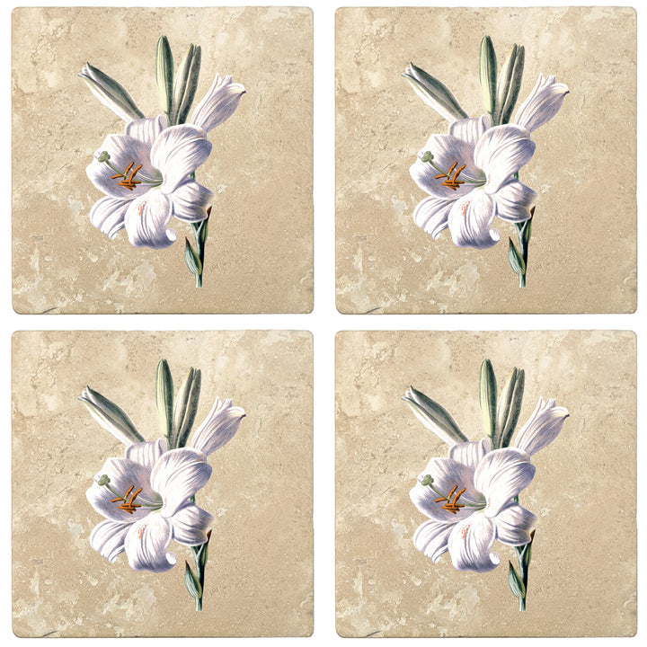 Set of 4 Absorbent Stone 4" Flower Designs Drink Coasters, White Lily