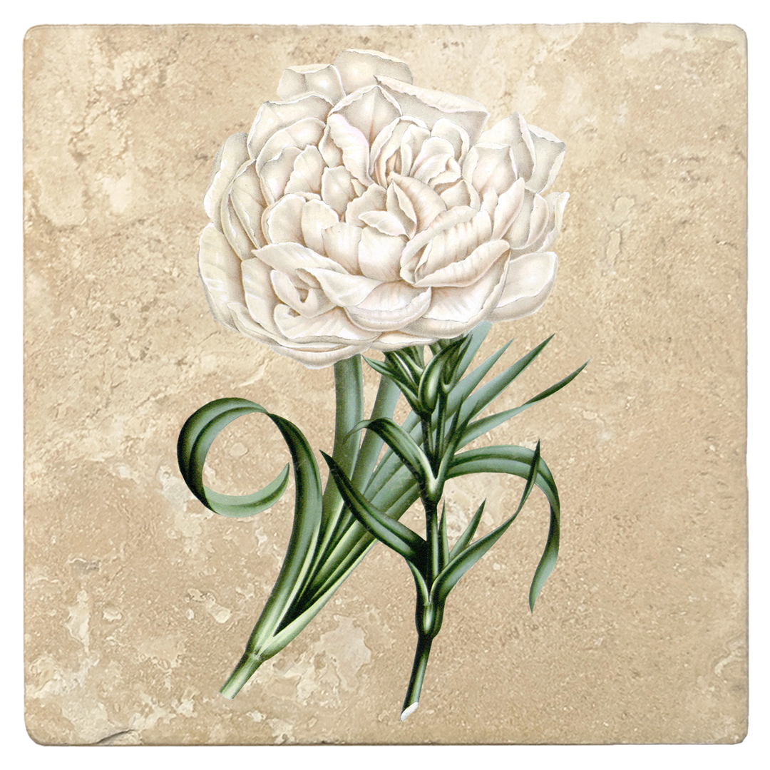 Set of 4 Absorbent Stone 4" Flower Designs Drink Coasters, Eillet Carnation