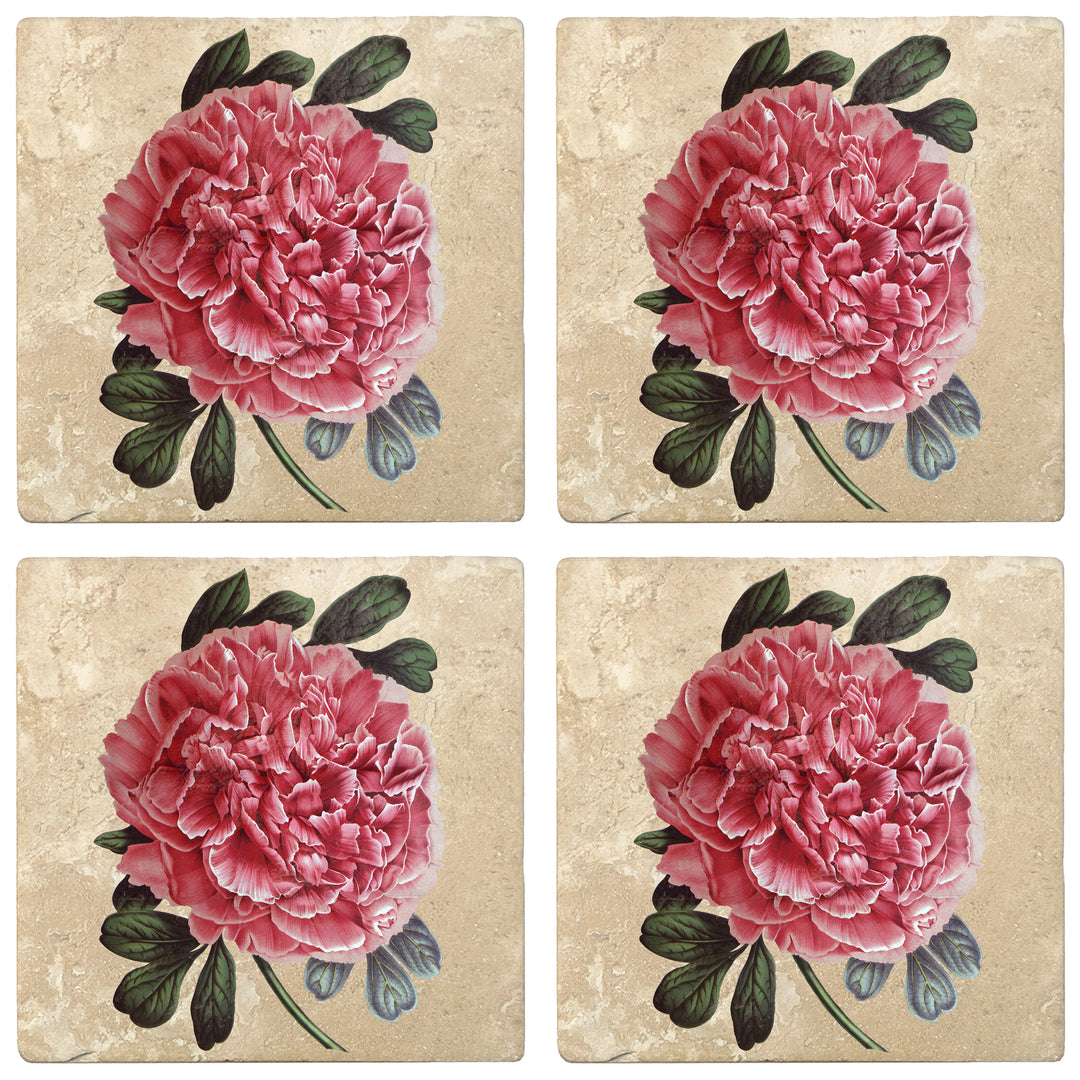 Peony Flower Cork Coasters - Pack of 4