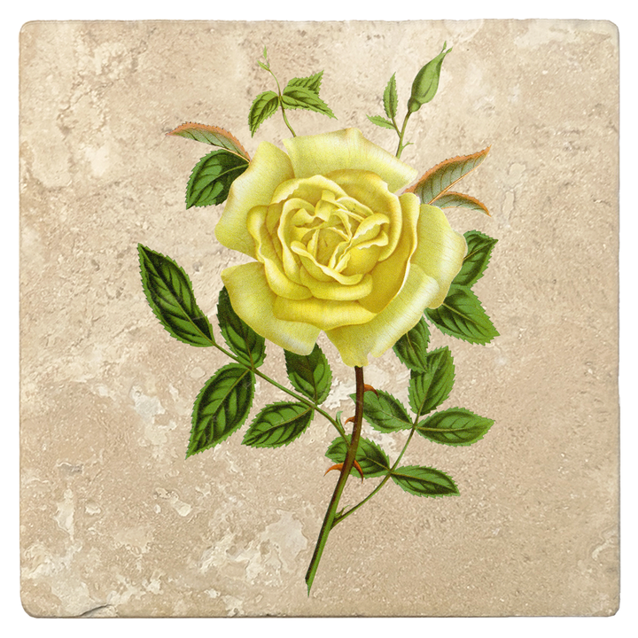 Set of 4 Absorbent Stone 4" Flower Designs Drink Coasters, Amazone Rose