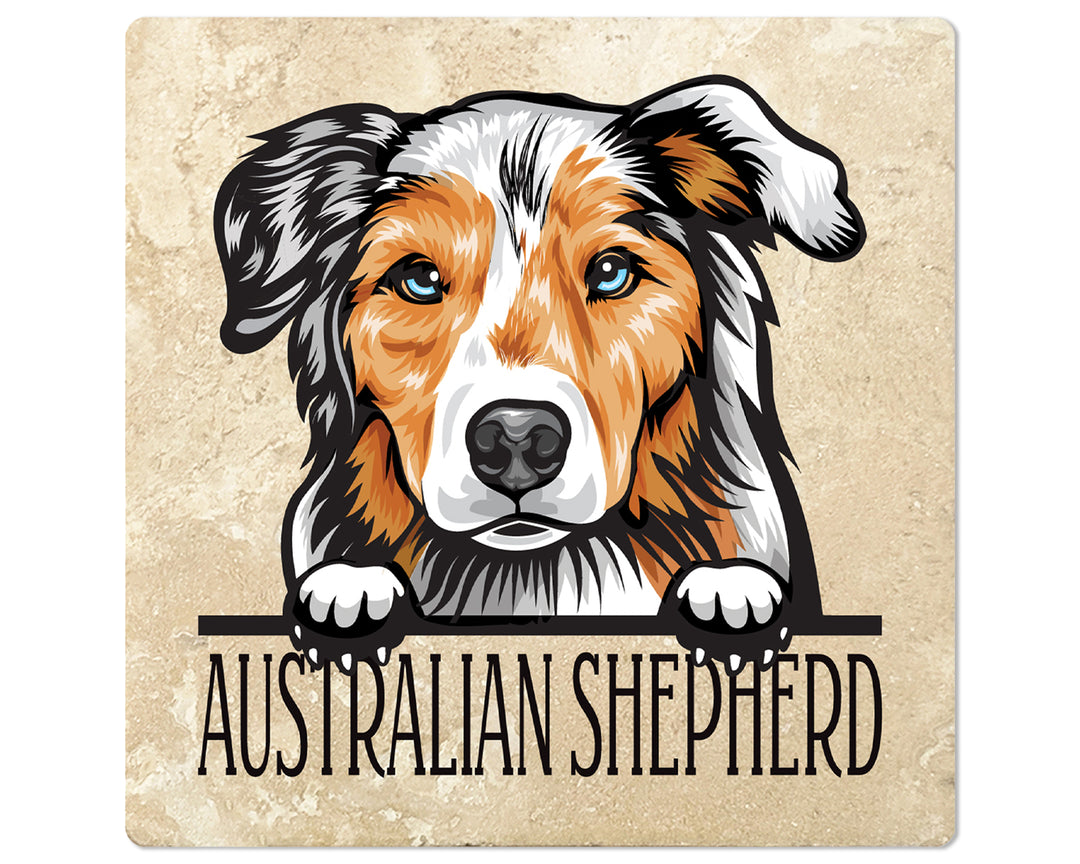 [Set of 4] 4" Premium Absorbent Travertine Dog Lovers Square Coaster - Adult Australian Shepherd