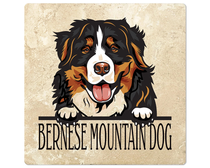 [Set of 4] 4" Square Premium Absorbent Travertine Dog Lover Coasters - Bernese Mountain Dog - Christmas by Krebs Wholesale