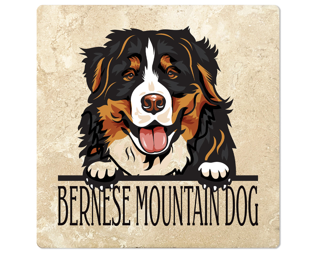[Set of 4] 4" Premium Absorbent Travertine Dog Lovers Square Coaster - Bernese Mountain Dog