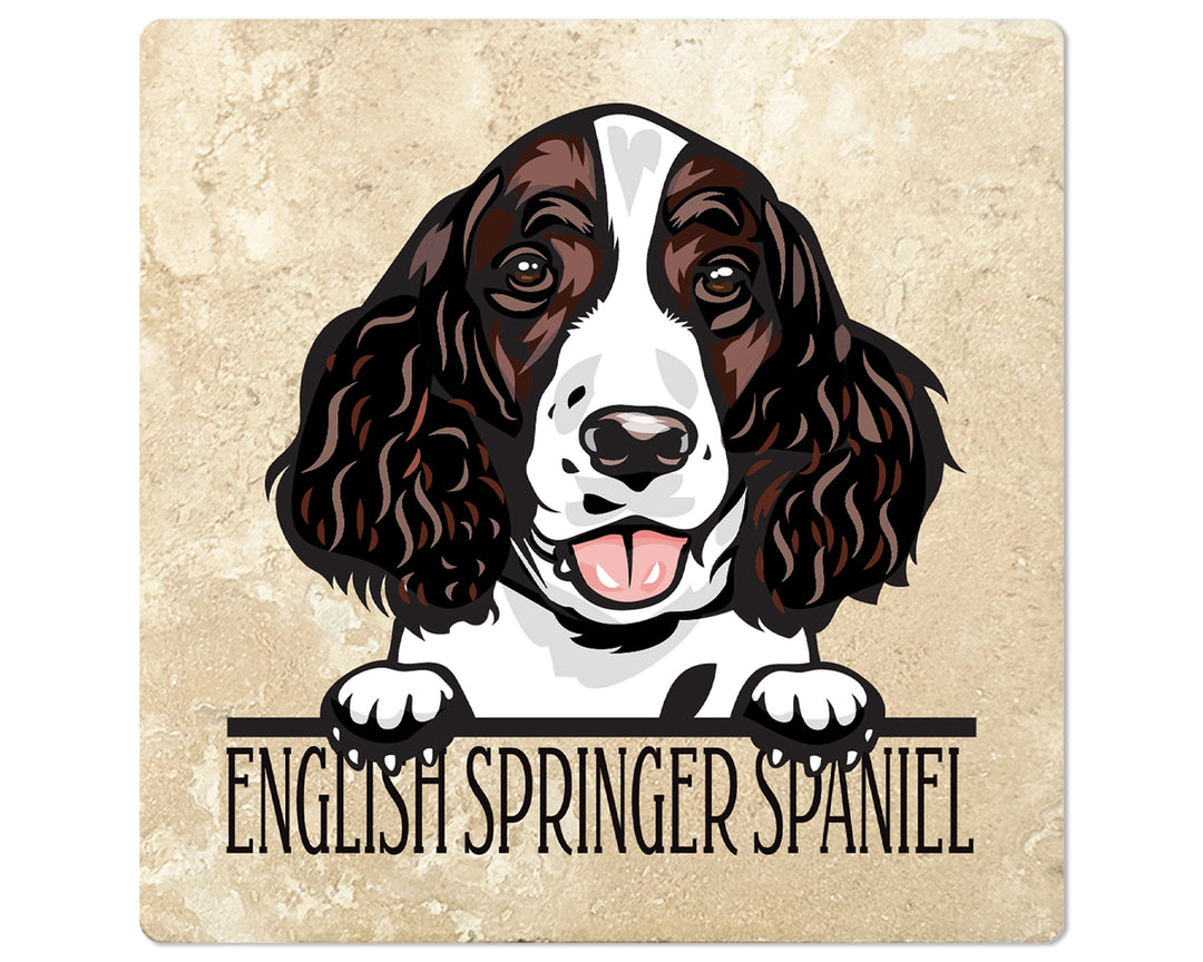 [Set of 4] 4" Premium Absorbent Travertine Dog Lovers Square Coaster - English Springer Spaniel