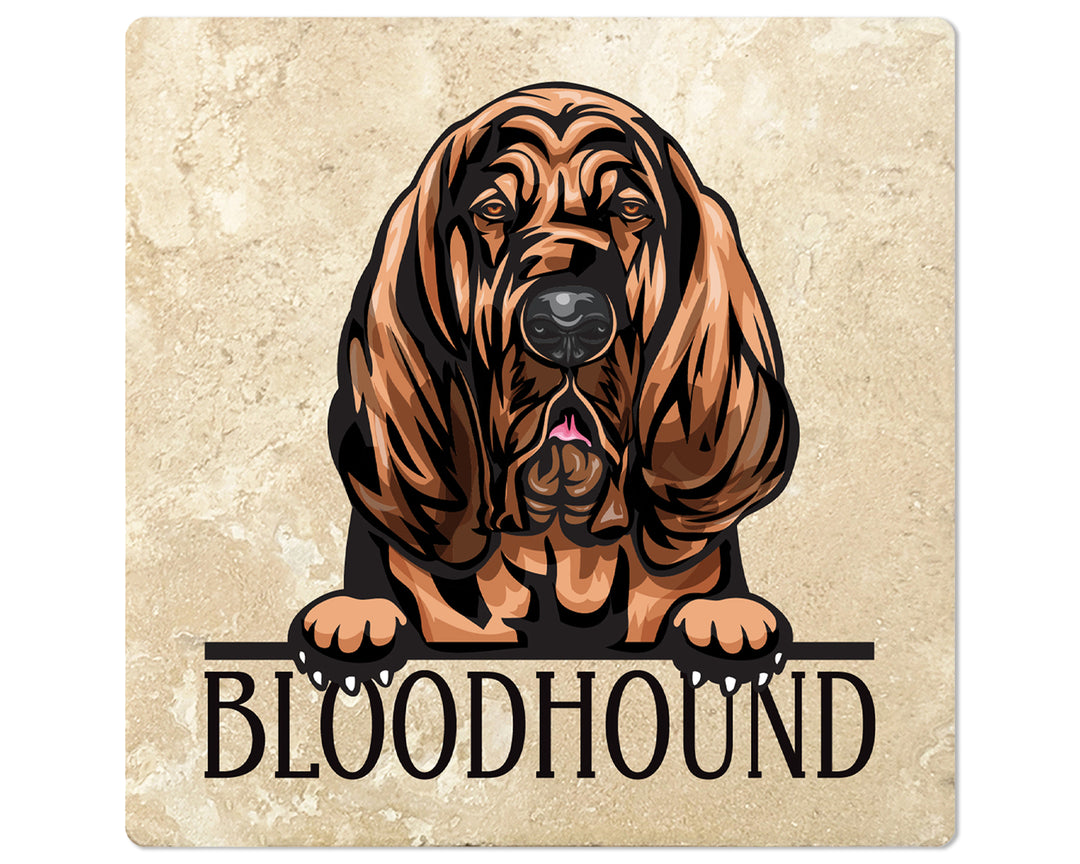 [Set of 4] 4" Premium Absorbent Travertine Dog Lovers Square Coaster - Bloodhound