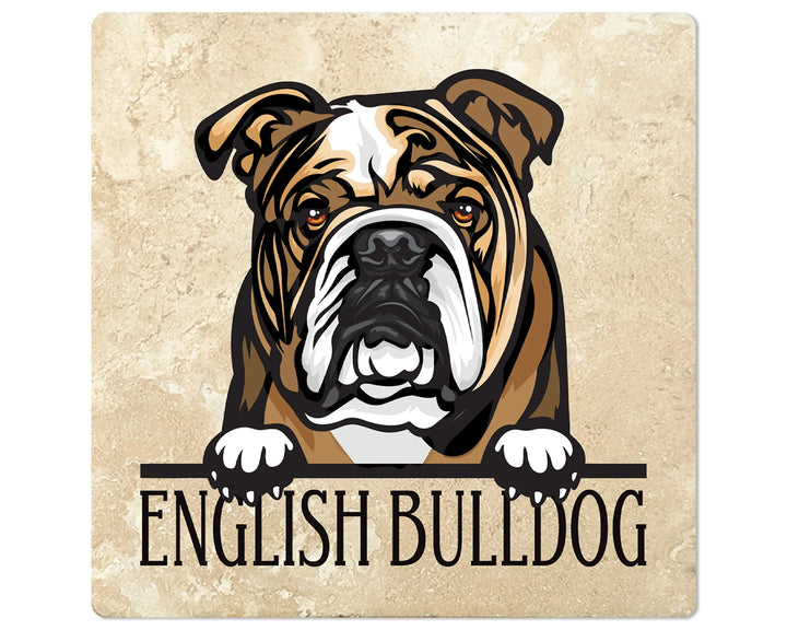[Set of 4] 4" Square Premium Absorbent Travertine Dog Lover Coasters - Brown English Bulldog - Christmas by Krebs Wholesale