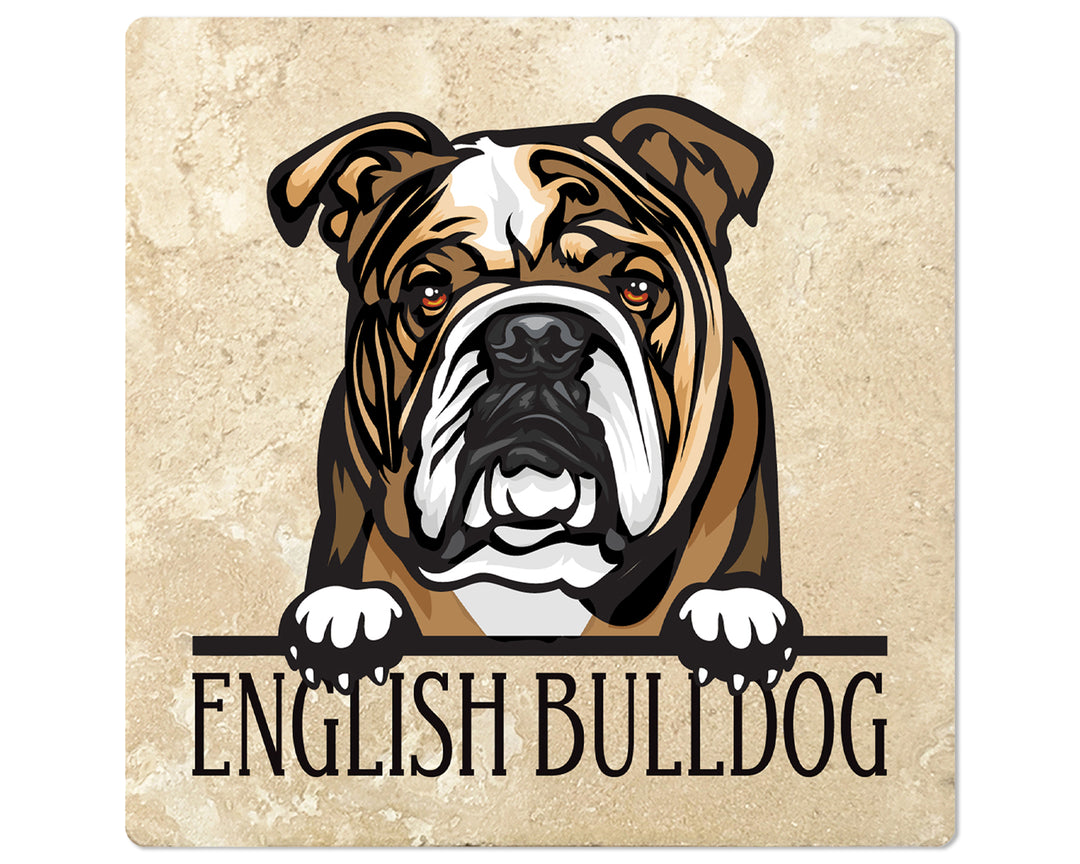 [Set of 4] 4" Premium Absorbent Travertine Dog Lovers Square Coaster - Brown English Bulldog