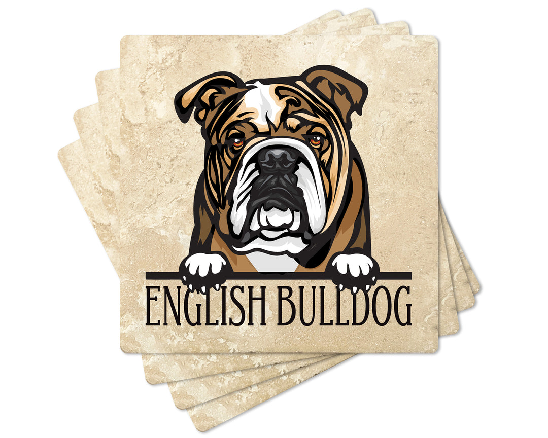 [Set of 4] 4" Premium Absorbent Travertine Dog Lovers Square Coaster - Brown English Bulldog