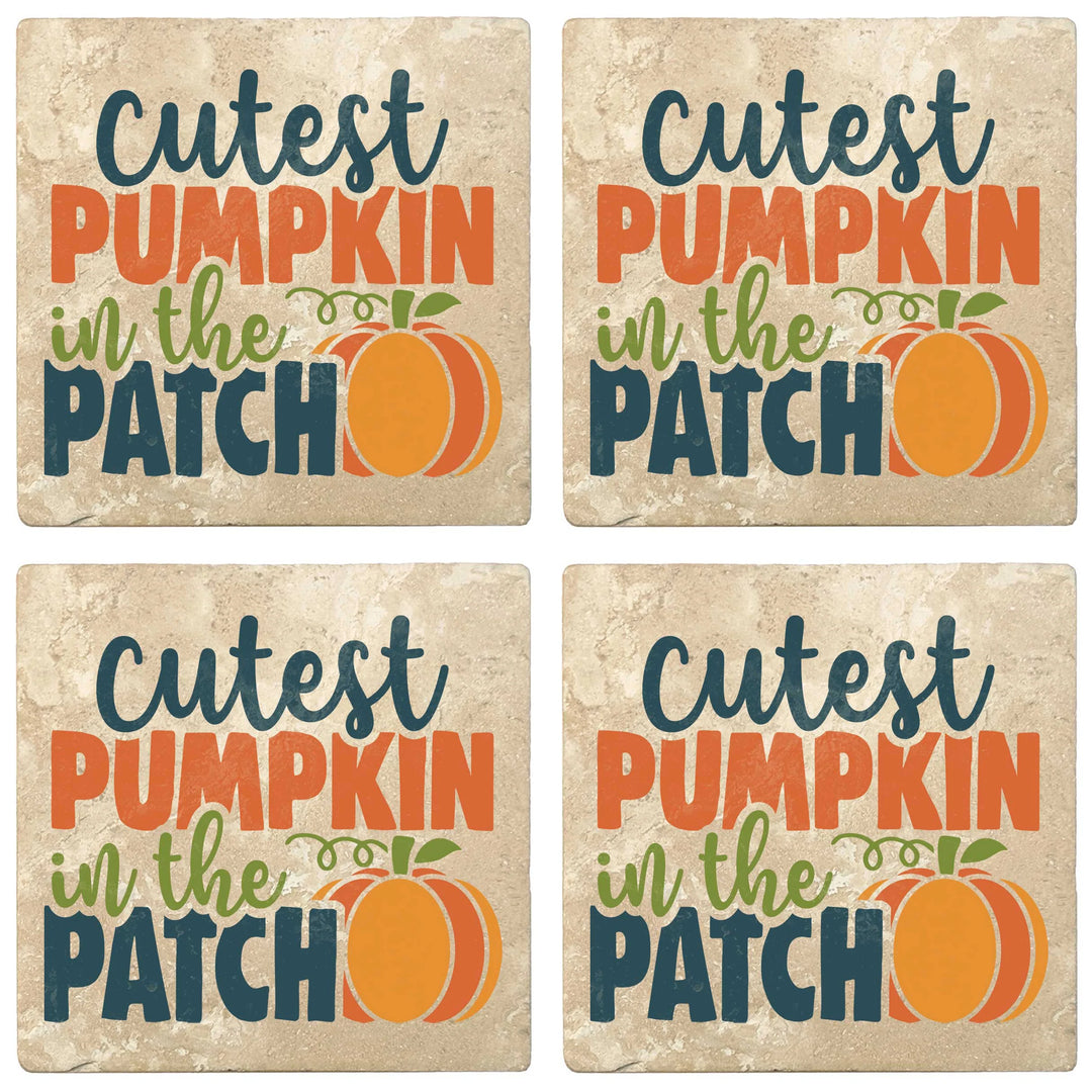 4" Absorbent Stone Fall Autumn Coasters, Cutest Pumpkin In The Patch, 2 Sets of 4, 8 Pieces - Christmas by Krebs Wholesale