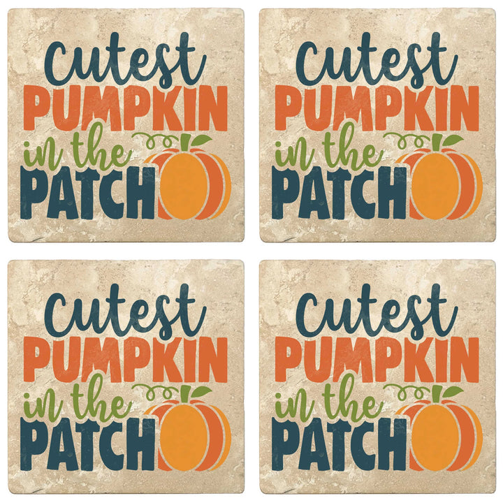 4" Absorbent Stone Fall Autumn Coasters, Cutest Pumpkin In The Patch, 2 Sets of 4, 8 Pieces - Christmas by Krebs Wholesale