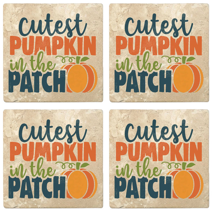 4" Absorbent Stone Fall Autumn Coasters, Cutest Pumpkin In The Patch, 2 Sets of 4, 8 Pieces - Christmas by Krebs Wholesale