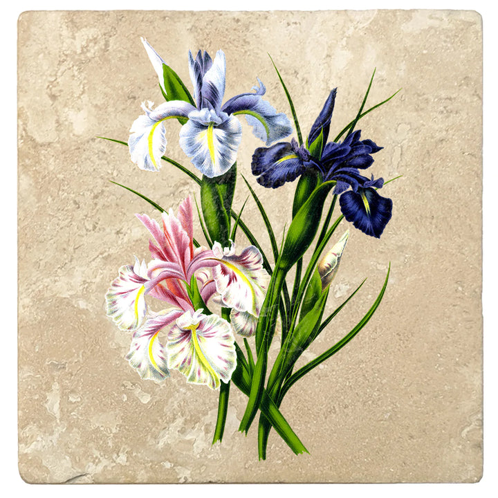 4" Absorbent Stone Flower Designs Drink Coasters, English Iris, 2 Sets of 4, 8 Pieces - Christmas by Krebs Wholesale