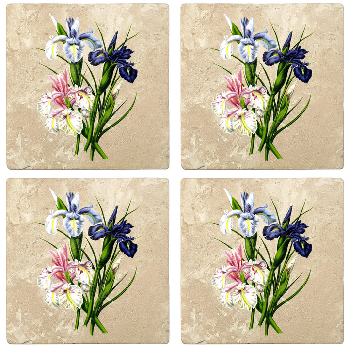 4" Absorbent Stone Flower Designs Drink Coasters, English Iris, 2 Sets of 4, 8 Pieces - Christmas by Krebs Wholesale