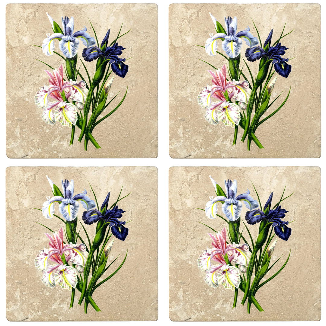 4" Absorbent Stone Flower Designs Drink Coasters, English Iris, 2 Sets of 4, 8 Pieces - Christmas by Krebs Wholesale