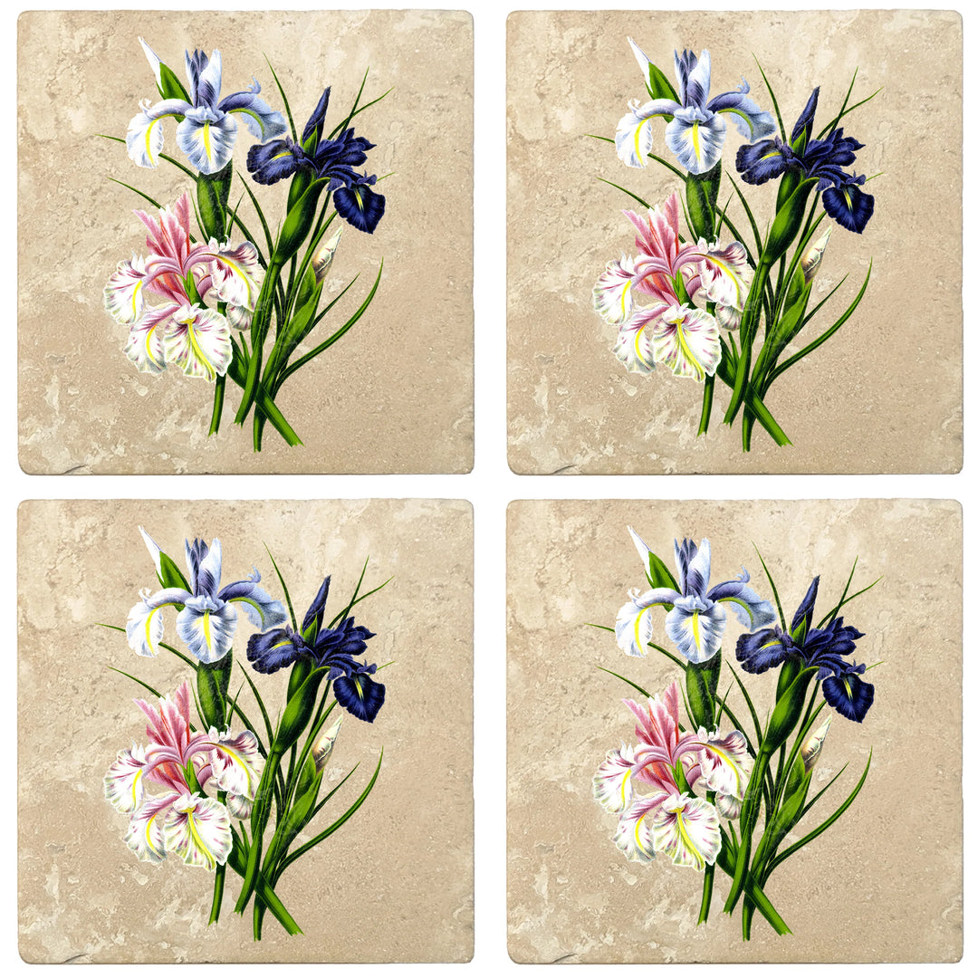 4" Absorbent Stone Flower Designs Drink Coasters, English Iris, 2 Sets of 4, 8 Pieces - Christmas by Krebs Wholesale