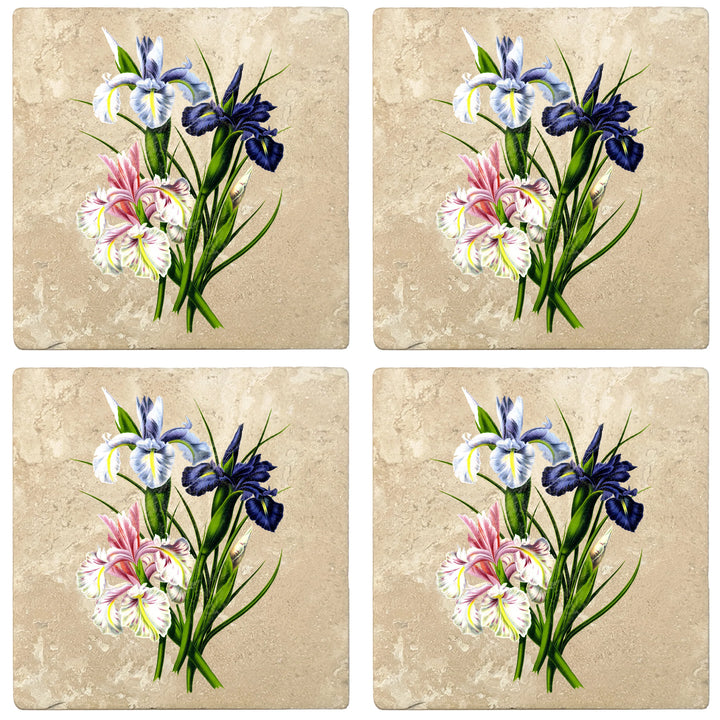 4" Absorbent Stone Flower Designs Drink Coasters, English Iris, 2 Sets of 4, 8 Pieces - Christmas by Krebs Wholesale