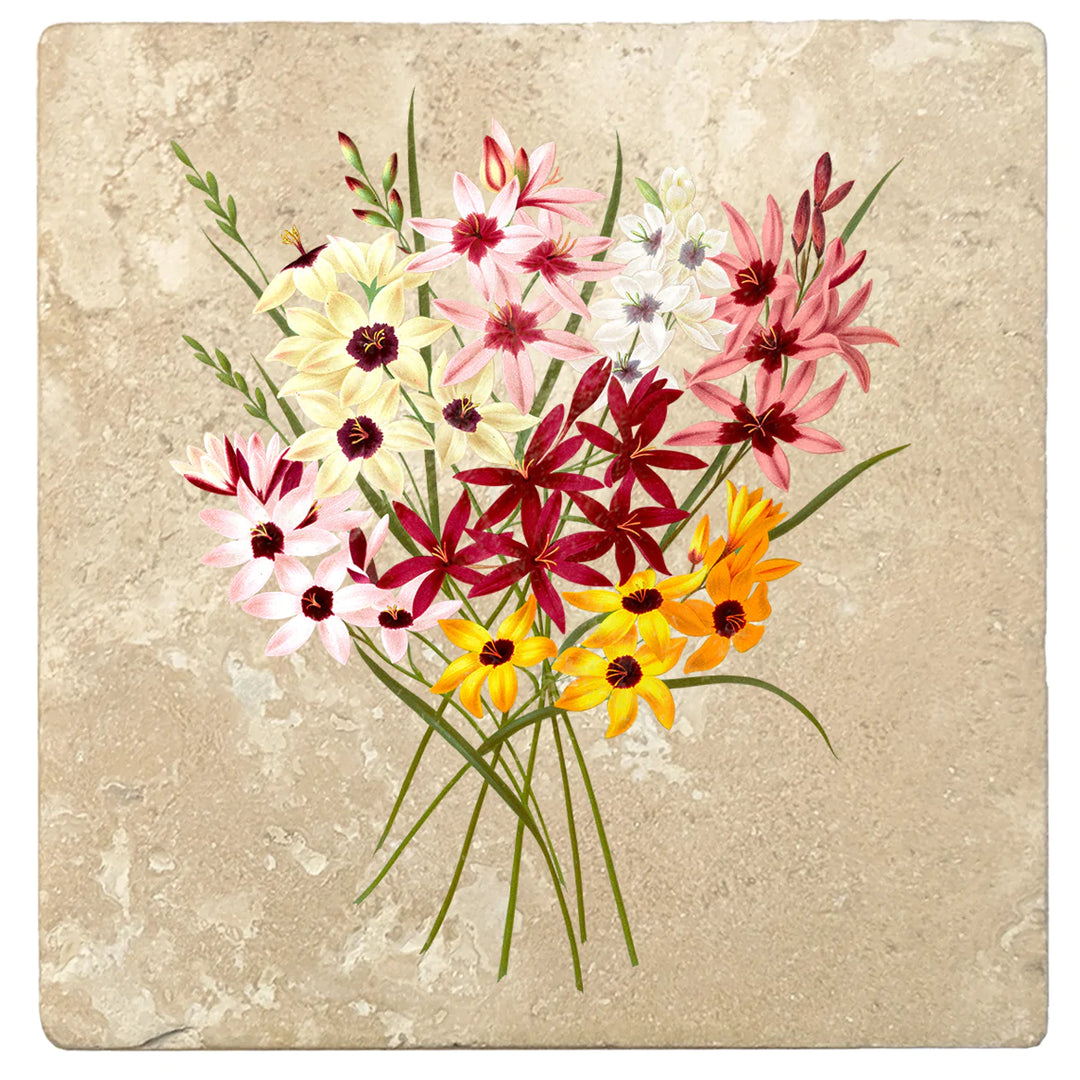 4" Absorbent Stone Flower Designs Drink Coasters, Hybrid Ixias, 2 Sets of 4, 8 Pieces - Christmas by Krebs Wholesale