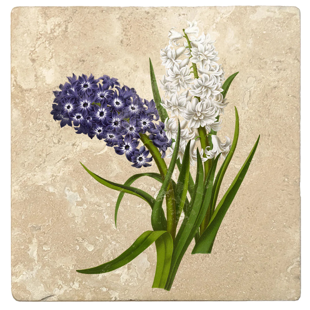 4" Absorbent Stone Flower Designs Drink Coasters, Purple White Hyacinths, 2 Sets of 4, 8 Pieces - Christmas by Krebs Wholesale