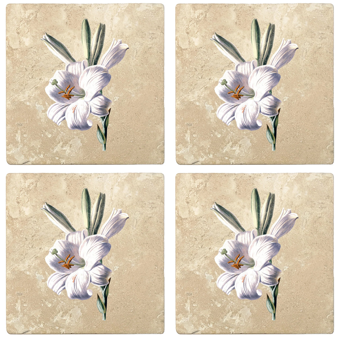 4" Absorbent Stone Flower Designs Drink Coasters, White Lily, 2 Sets of 4, 8 Pieces - Christmas by Krebs Wholesale