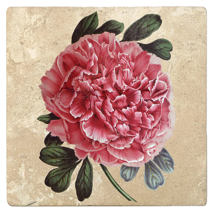 4" Absorbent Stone Flower Designs Drink Coasters, Tree Peony, 2 Sets of 4, 8 Pieces - Christmas by Krebs Wholesale