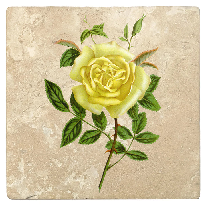 4" Absorbent Stone Flower Designs Drink Coasters, Amazone Rose, 2 Sets of 4, 8 Pieces - Christmas by Krebs Wholesale
